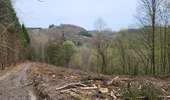 Randonnée Marche Bouillon - Les Hayons 110426 - Photo 6