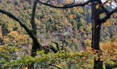 Trail Walking Oberhaslach - 2022-11-20 Marche Gensbourg Nideck - Photo 3