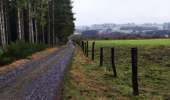 Trail Walking Lierneux - Promenade vers la fagne de la Crépale  - Photo 3