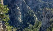 Trail Walking Sahorre - Col de Jou cascade des pigeons  - Photo 7