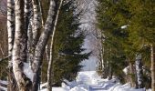 Tocht Te voet Grassau - Wanderweg 2 - Grassau - Photo 1