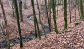 Percorso Marcia Nassogne - Nassogne Forêt St Hubert Nassogne  - Photo 6