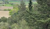 Tour Wandern Villasavary - Sentier des orchidées JLC1 - Photo 2