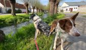 Trail Walking Aix-en-Issart - Sentier du paradis - Photo 10