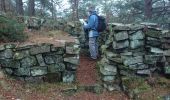 Trail Walking Fontainebleau - carrefour d'acheres 30 décembre 2022  - Photo 2