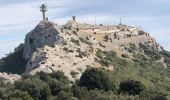 Excursión Senderismo Le Revest-les-Eaux - Le Mont Caume  - Photo 15