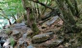 Randonnée Marche Houffalize - Promenade vers le Rocher du Hérou - Photo 3