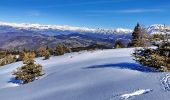 Excursión Esquí de fondo Selonnet - 20210218 - Tête grosse - Chabanon - Selonnet - Photo 14