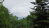 Trail Walking Vecoux - 07-06-21 Reherrey- chalet des meules- col de xiard- chalet de l'avuxon- source chaude - Photo 7