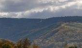 Randonnée Marche Schirmeck - Schirmeck - sentier du Colbéry - Photo 1