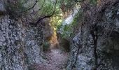Trail Walking Lioux - Combe de Lioux Falaise de la Madeleine  - Photo 18