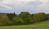 Tour Wandern Theux - 20221103 - Polleur 6.6 Km - Photo 13