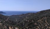 Tour Wandern Unknown - Myrthios-Sellia - Photo 1