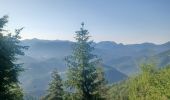 Trail Walking Auzet - AUZET. COL DE LA PINEE . LE MARZENC . N . O L - Photo 12