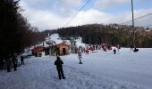 Excursión Raquetas de nieve Lepuix - Ballon d'Alsace - Photo 2