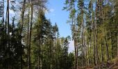 Tour Zu Fuß Unbekannt - Wanderweg 2, Kernstockweg - Photo 7