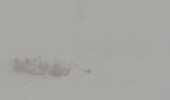 Randonnée Raquettes à neige Fresse-sur-Moselle - raquette  - Photo 1
