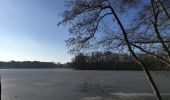 Tocht Te voet Königs Wusterhausen - Rundweg Großer Tonteich - Photo 3