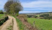 Tour Wandern Stoumont - Andrimont-Berinzenne-MontdesBrumes - Photo 14