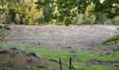 Randonnée Marche Badonviller - Tour du lac de Pierre-Percée depuis les cabanes du lac - Photo 2