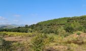 Randonnée Marche Pierrefeu-du-Var - Pierrefeu du var - les Baisses - Photo 18