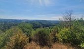 Trail Walking Bertrix - rando  auby sur semois 2-09-2022 - Photo 5