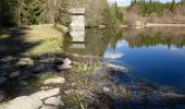 Tour Zu Fuß Geroldsgrün - Floßteichweg DÖ 90 - Photo 1