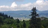 Tocht Stappen Lans-en-Vercors - Pic st Michel - Photo 18