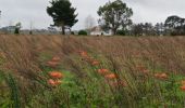 Trail Walking Lanloup - lanloup - Photo 3