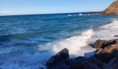 Tocht Stappen Argelès-sur-Mer - argeles - collioure / retour par la mer  - Photo 11