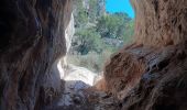 Tocht Stappen Ollioules - Grottes St Martin 1et 2 + Christianisée - Photo 2