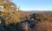 Trail Walking Forcalquier - forcalquier,les mourres - Photo 4