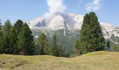 Randonnée Marche Prags - Braies - Strudelkopf - Monte Specie 2307m - Photo 4