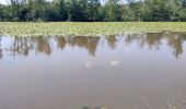 Excursión Senderismo Genk - Promenade vers la piste dans l'eau, dans le magnifique domaine de Bokrijk  - Photo 11