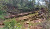 Trail Walking La Motte - les demoiselles - Photo 8
