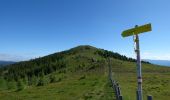 Excursión A pie Hüttenberg - Geierkogelrunde - Photo 5