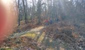 Trail Walking Fontainebleau - viennes carosses - Photo 5