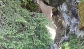 Excursión Senderismo Les Contamines-Montjoie - Le Lay - le col du Bonhomme A/R - Photo 10