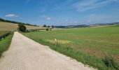 Tour Mountainbike Vouthon-Haut - reco  - Photo 3