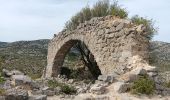 Excursión Senderismo Opoul-Périllos - cauna roja . perillos . château d´opoul  - Photo 20