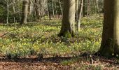 Tocht Stappen Terhulpen - Château de laHulpe  - Photo 8