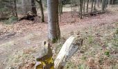 Percorso Marcia Ottrott - 2023-02-18 Vorbruck - Mt st Odile - Photo 4