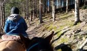 Trail Horseback riding Manhay - oster samré chloro oster - Photo 2