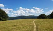 Trail Electric bike La Bresse - petit tour de la bresse - Photo 3