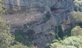 Randonnée Marche Buoux - APT,  Buous , circuit d Aigue Brun o l  - Photo 14