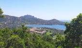 Randonnée Marche Saint-Raphaël - les Ferrières,l'esterel. - Photo 3