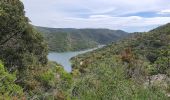 Randonnée Marche Collobrières - Rando La Verne - Photo 6