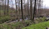 Tocht Stappen Ferrières - Ferrière  - Photo 3