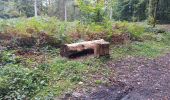 Trail Walking Esneux - mon E d'Esneux - Photo 18