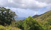 Tour Wandern Rivière-Salée - Rivière Salée - Les Trois-Ilets - Le Défi 2025 - Photo 11